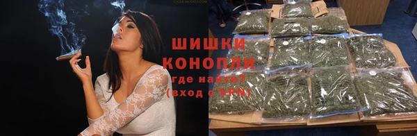 индика Бронницы