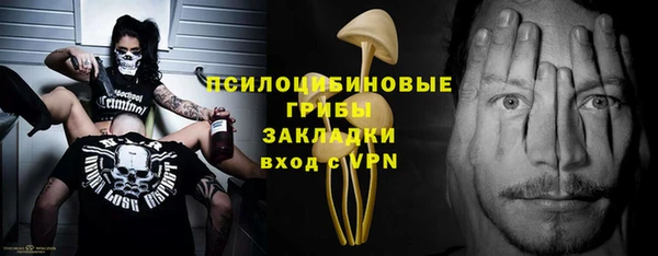 индика Бронницы