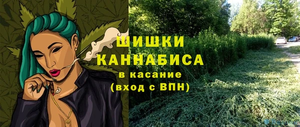 индика Бронницы