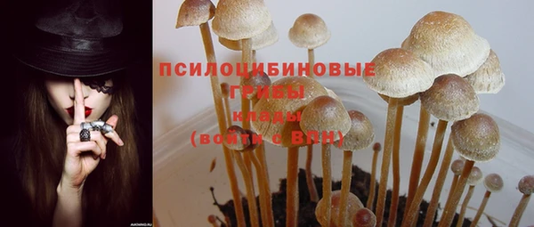 трава Болотное