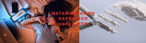 индика Бронницы