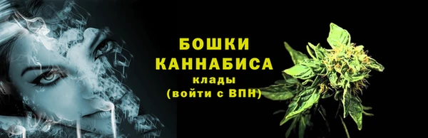 индика Бронницы
