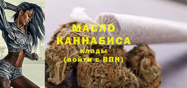 индика Бронницы