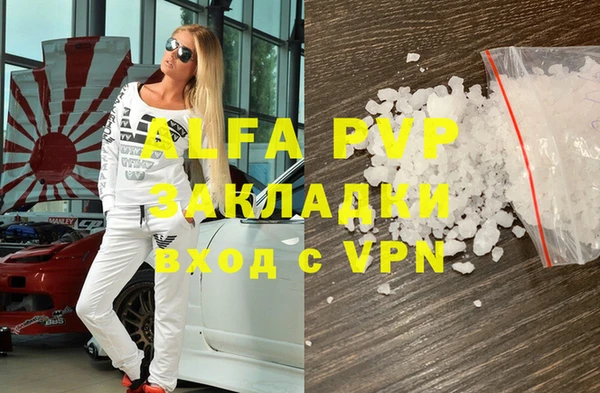 индика Бронницы