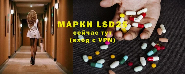 индика Бронницы