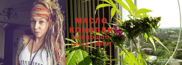 индика Бронницы