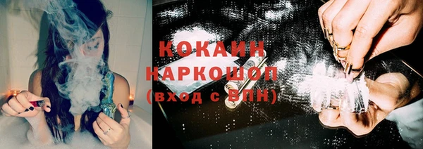 индика Бронницы