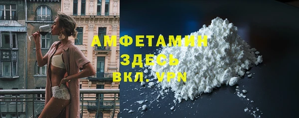 индика Бронницы