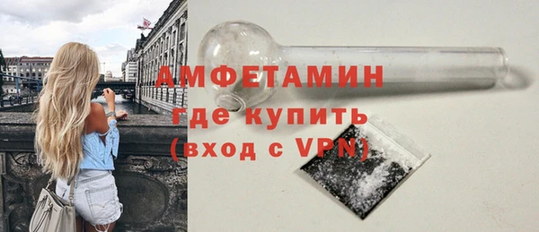 индика Бронницы