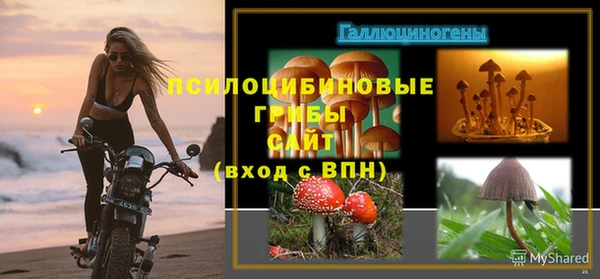 индика Бронницы